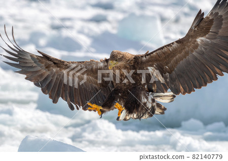 Shiretoko winter 82140779