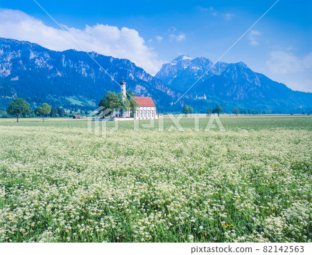 Germany Romantic Road, Fuyussen Mountains, Neuschwanstein Castle, Flowers and St. Coromant Church Germany Romantic Road, Fuyussen Mountains, Neuschwanstein Castle, Flowers and St. Coromant Church 82142563