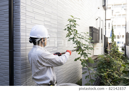 Landscape worker cutting the garden tree Landscape worker cutting the garden tree 82142837