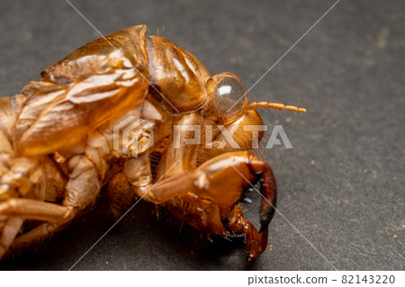 Abstract of Abra Zemi Abstract of Abra Zemi 82143220