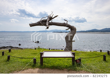 《宮城縣氣仙沼》岩崎龍之松 82143273