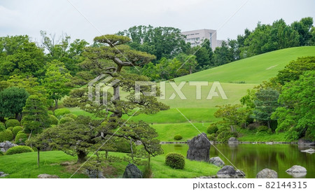 形狀獨特的松樹和人工山丘之間的合作,日本花園周圍環繞著新鮮的綠色植物@大阪 形狀獨特的松樹和人工山丘之間的合作,日本花園周圍環繞著新鮮的綠色植物@大阪 82144315