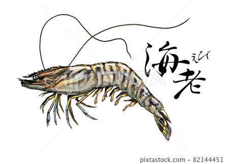 Illustration of prawns ――Transparent background ――Cut out 82144451