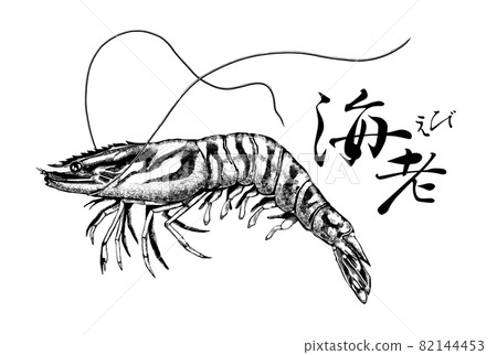 Illustration of prawns ――Transparent background ――Cut out 82144453