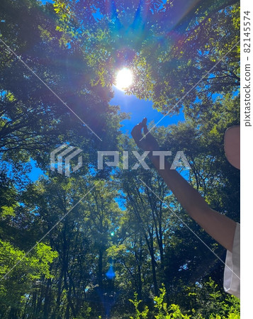秋天的天空和橡子 82145574