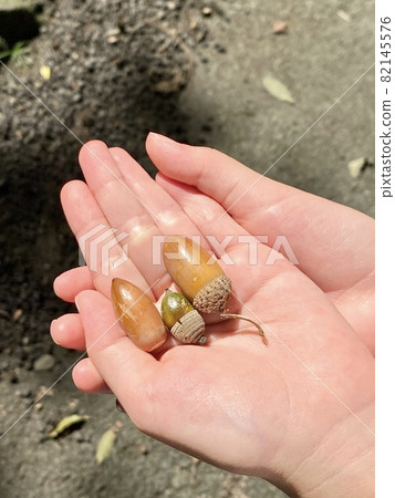 橡子的父母和孩子 橡子的父母和孩子 82145576
