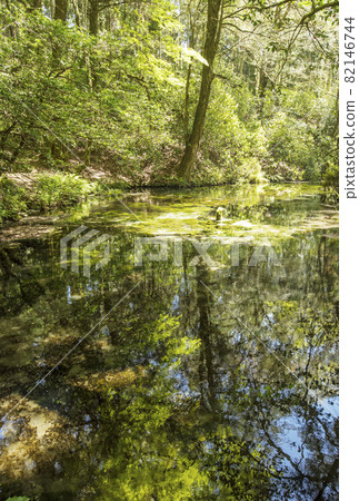 池山泉源處綠意盎然,泉水匯聚成池,景色秀麗,毗鄰自然保護區、原始森林和大型池塘,是日本百大名泉之一,也是熊本縣阿蘇市的熱門景點。 池山泉源處綠意盎然,泉水匯聚成池,景色秀麗,毗鄰自然保護區、原始森林和大型池塘,是日本百大名泉之一,也是熊本縣阿蘇市的熱門景點。 82146744