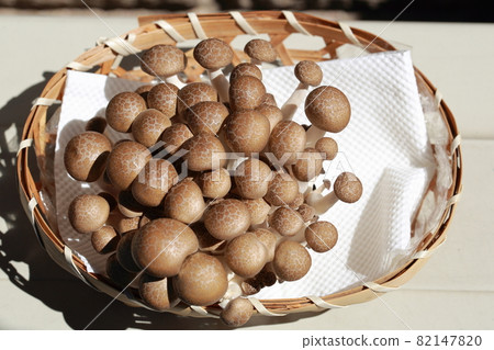 曬乾的太陽 曬乾的太陽 82147820