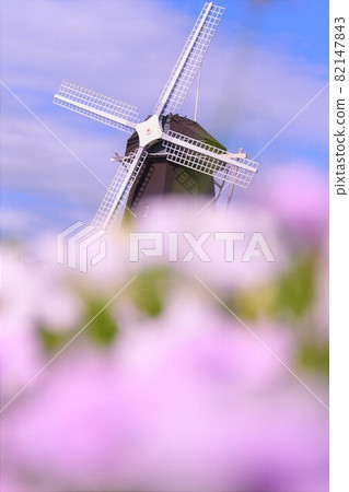 Windmills and flowers 82147843