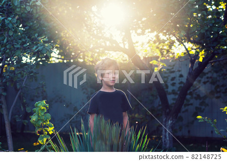 Little boy in garden Little boy in garden 82148725