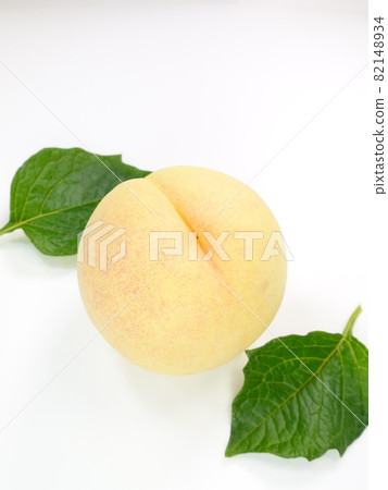 白桃桃桃桃桃 白桃桃桃桃桃 82148934