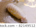 Engawa nigiri sushi 82149512