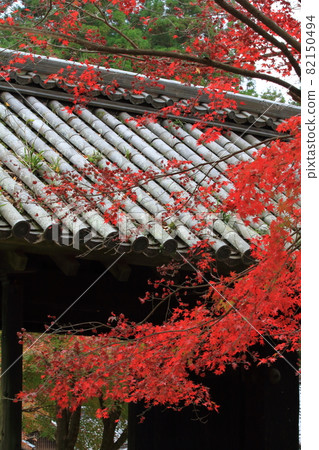 Autumn leaves that shine on the tiled roof of Akizuki Kuromon 82150494