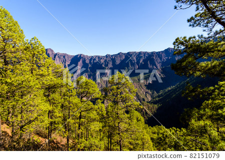 National Park of Caldera de Taburiente. Old Volcano Crater with Canarian Pine Trees Forest 82151079