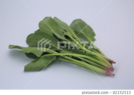 菠菜 82152513