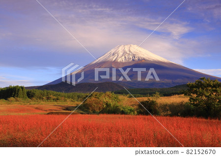 富士和草津秋葉倒映在三層雲層中 富士和草津秋葉倒映在三層雲層中 82152670