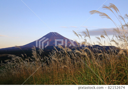 從富士山的蒲葦原野遠眺富士山 從富士山的蒲葦原野遠眺富士山 82152674