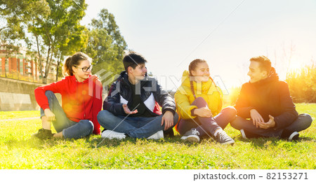 Group of teenagers chatting while sitting on green lawn Group of teenagers chatting while sitting on green lawn 82153271