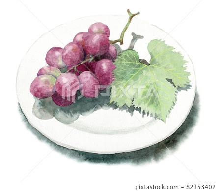 Analog watercolor Red grapes with leaves on a white plate 82153402