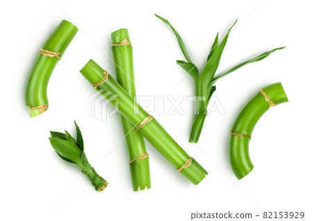 Green bamboo with leaves isolated on white background with clipping path and full depth of field. Top view. Flat lay 82153929