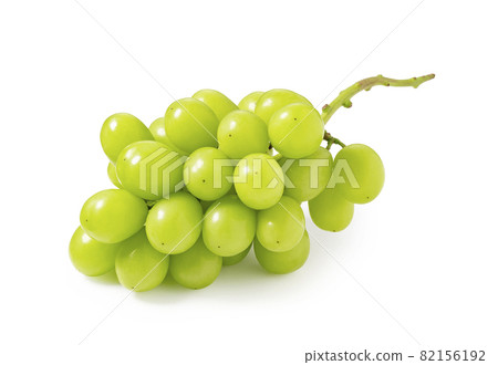 閃耀馬斯喀特 82156192