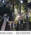 Rope torii 82156545