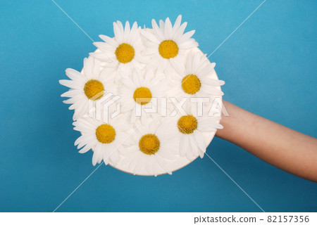 White saucer with chamomile flowers White saucer with chamomile flowers 82157356