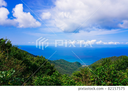 Overlooking the blue Sea of Japan from Mt. Yahiko (Yahiko Village, Niigata Prefecture) Overlooking the blue Sea of Japan from Mt. Yahiko (Yahiko Village, Niigata Prefecture) 82157575