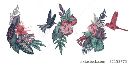 Vector compositions with tropical flowers, hummingbird, jungle palm, exotic leaves 82158773