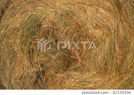 Close-up of hay natural texture Close-up of hay natural texture 82159106