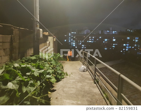Alley. Alleyway. Residence. House. Apartment. Light. 82159831