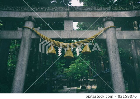Mysterious torii 82159870