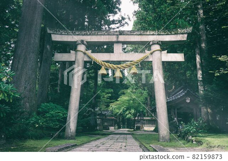 Mysterious torii 82159873