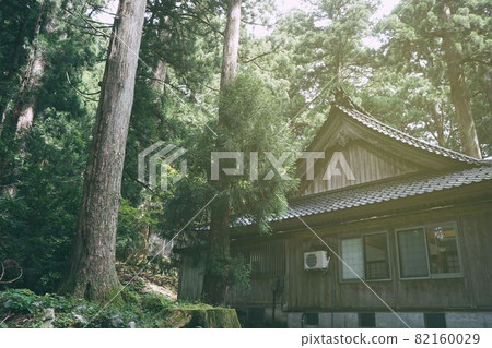 神秘區域 82160029