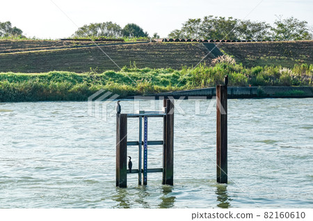 Water level observatory Okawazu diversion that protects the Echigo Plain from flood damage (Okawazu, Tsubame City, Niigata Prefecture) Water level observatory Okawazu diversion that protects the Echigo Plain from flood damage (Okawazu, Tsubame City, Niigata Prefecture) 82160610