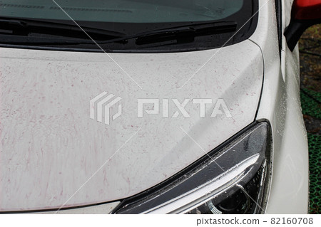 Iron powder that appears purple on the body with an iron powder remover Iron powder that appears purple on the body with an iron powder remover 82160708