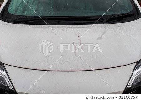 Iron powder that appears purple on the body with an iron powder remover Iron powder that appears purple on the body with an iron powder remover 82160757