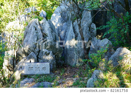 大垣市赤坂妙乘林寺院區和孤挺花叢 大垣市赤坂妙乘林寺院區和孤挺花叢 82161758