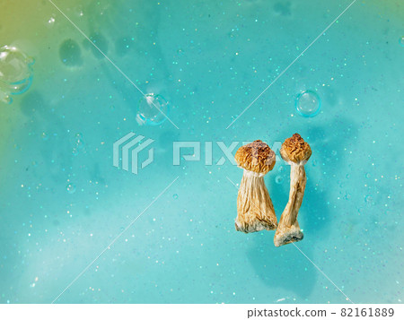 Psilocybin mushrooms on blue background. Psychedelic magic trip, cosmic consciousness. Psilocybin mushrooms on blue background. Psychedelic magic trip, cosmic consciousness. 82161889