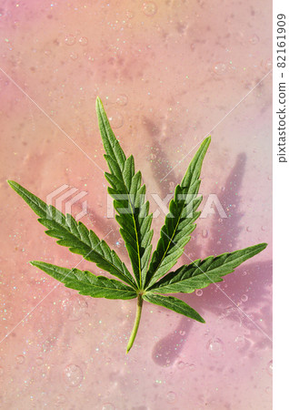 Cannabis leaf, marijuana plant on pink bright colorful background. Psychedelic experience. Cannabis leaf, marijuana plant on pink bright colorful background. Psychedelic experience. 82161909