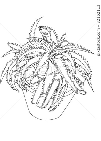 Dyckia 線描 Dyckia 線描 82162113