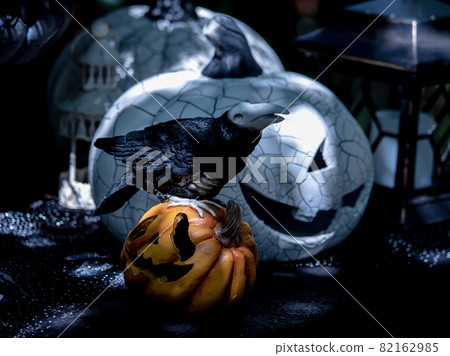 Halloween in the garden 82162985