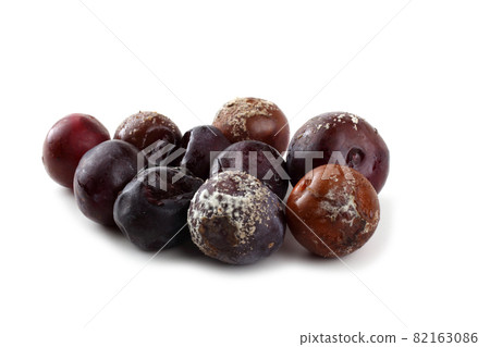 Rotten plums isolated on white 82163086