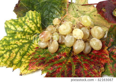 Grape on autumn leaves background 82163087