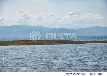 清爽的夏日琵琶湖2021 82164025