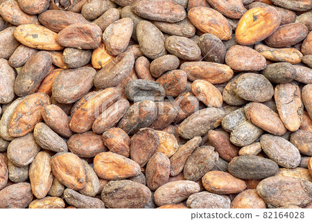 Raw cocoa beans top view. Chocolate cocoa beans background. 82164028