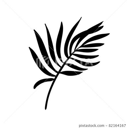 Modern Palm leaf vector abstrac illustration. Black and white silhouette. Isolated Exotic jungle contemporary trendy illustration. Perfect for boho posters, instagram posts, stickers Modern Palm leaf vector abstrac illustration. Black and white silhouette. Isolated Exotic jungle contemporary trendy illustration. Perfect for boho posters, instagram posts, stickers 82164167
