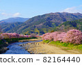 靜岡縣河津町河津櫻 82164440