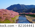 靜岡縣河津町河津櫻 82164441