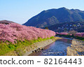 靜岡縣河津町河津櫻 82164443